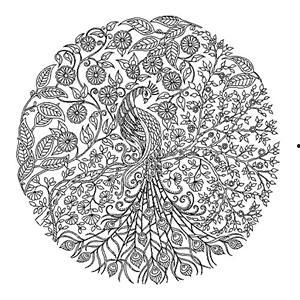 我的秘密花园1,我的秘密花园之旅  第2张