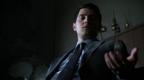 哥谭 第一季,黑暗崛起，正义的序章  第2张